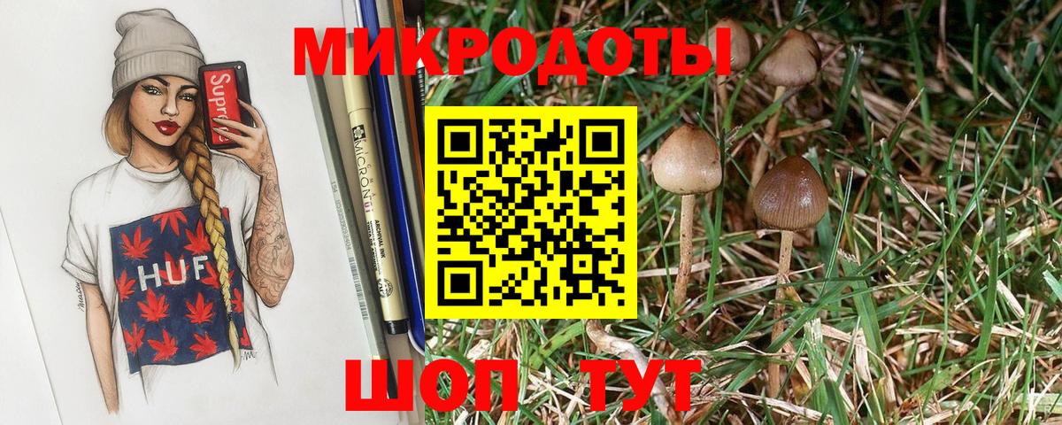 Галлюциногенные грибы Psilocybe Астрахань